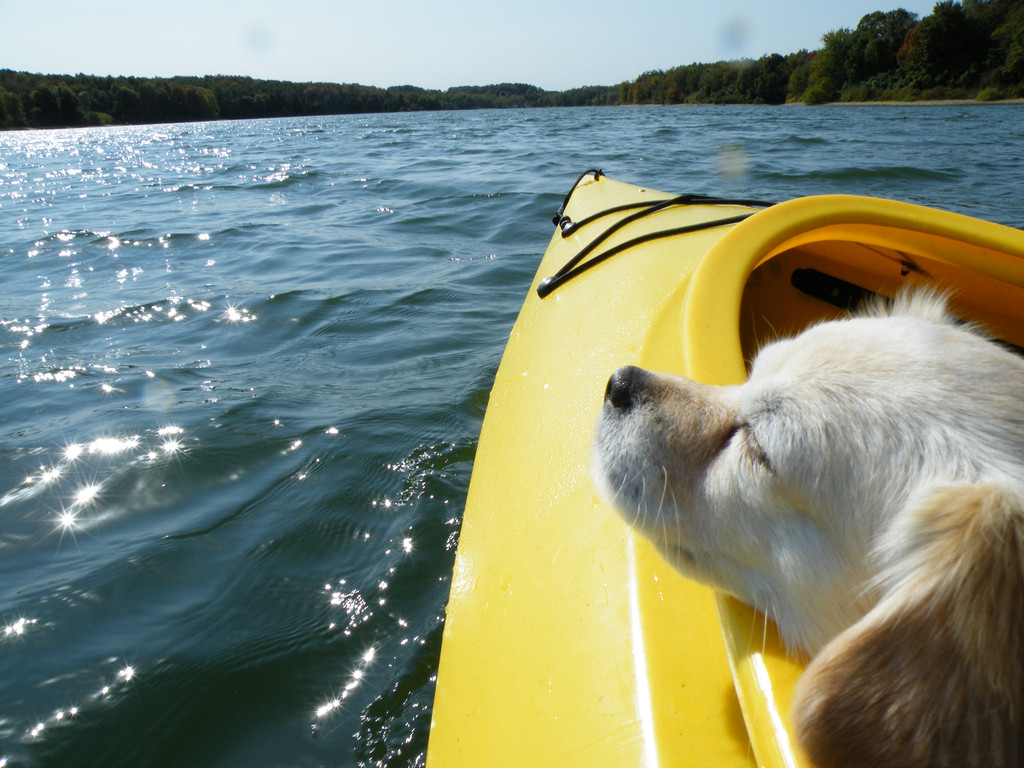 微信移動辦公：不當傳話筒，當解決問題小能手